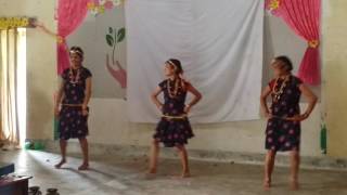 jau jau relaima dance performance at IAAS Lamjung 2016 [upl. by Imyaj]