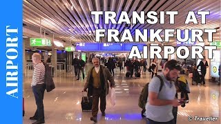 TRANSIT WALK AT FRANKFURT Airport FRA Terminal 1  Connection Flight Transfer Arriving amp Departing [upl. by Nnylireg]