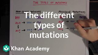 The different types of mutations  Biomolecules  MCAT  Khan Academy [upl. by Mattland211]