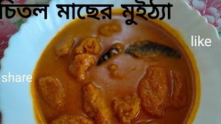 chitol macher muitha চিতল মাছের মুইঠ্যা [upl. by Rosenzweig]