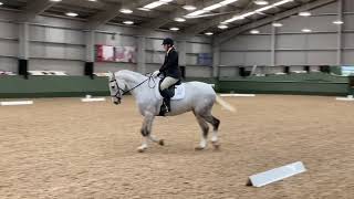 Novice 38 Dressage Test [upl. by Hilly]