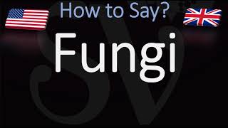 How to Pronounce Fungi [upl. by Cram]