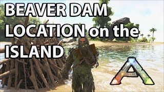 Beaver Dam locations on the Island Map Ark Survival Evolved Castoroides [upl. by Ciel384]