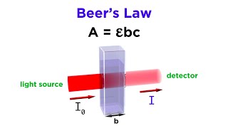 Spectrophotometry and Beers Law [upl. by Lucio]